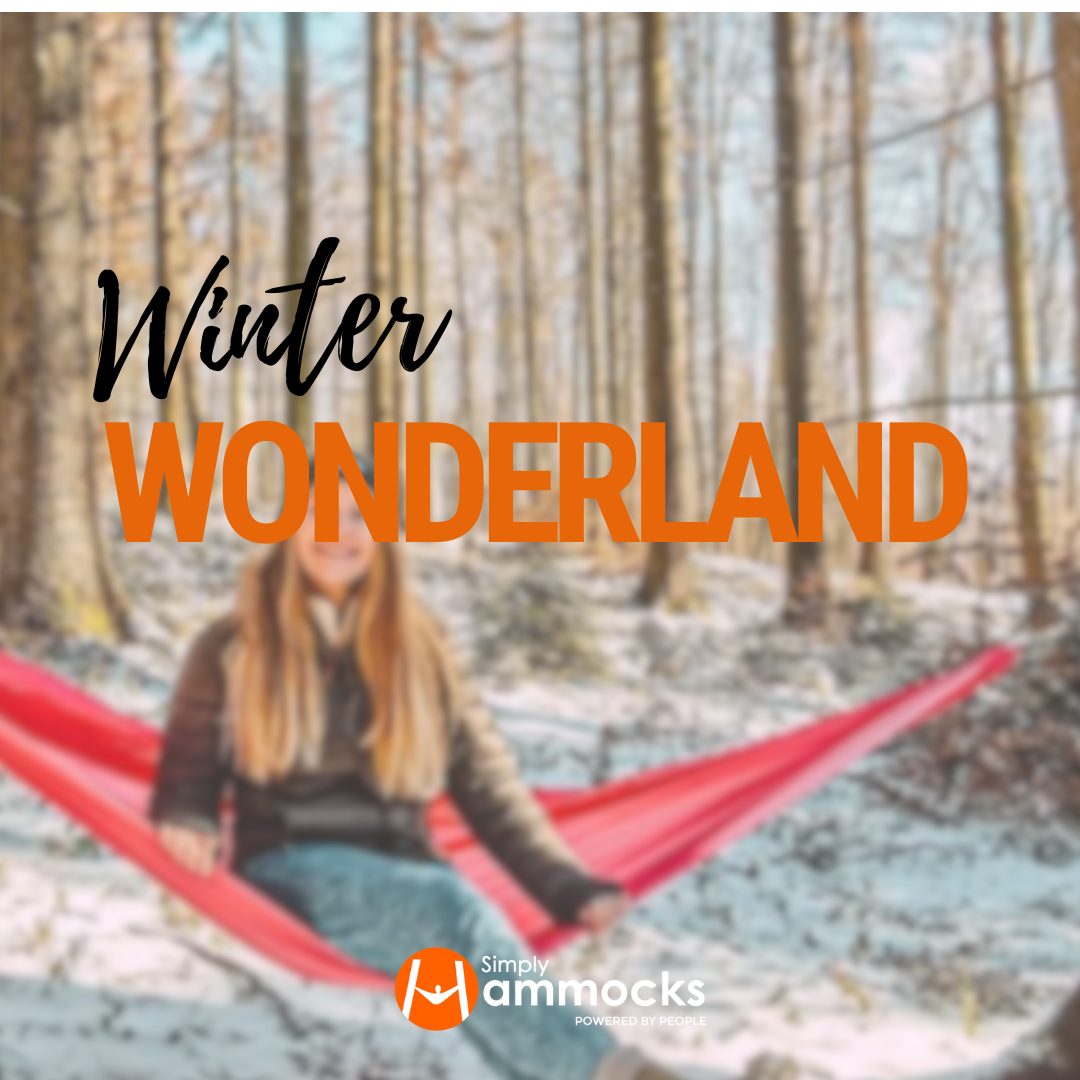 Winter Wonders: Unraveling the Pros and Cons of Hammock Camping in the Cold